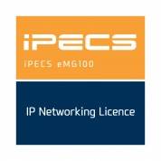 Ericsson-LG eMG100-IPN Организация доступа IP Networking и QSIG