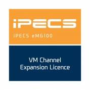 Ericsson-LG eMG100-VMCL Организация доступа к одному каналу голосовой почты 