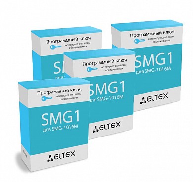 Опция Eltex SMG1-SP3