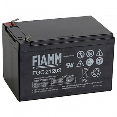 Аккумуляторная батарея Fiamm FGC21202