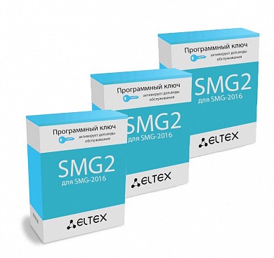 Опция Eltex SMG2-SP4