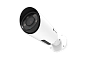 Сетевая камера Milesight MS-C8262-FPB