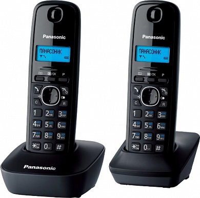 DECT-телефон Panasonic KX-TG1612RUH